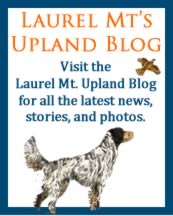 Visit Laurel Mt. Llewellins Upland Blog